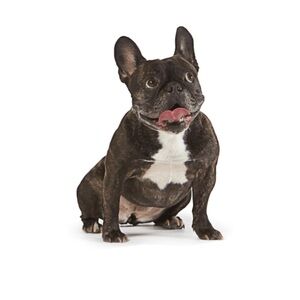 Meet your Posher, Aldren